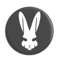 MoonRabbit