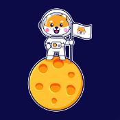 Astro Floki Inu