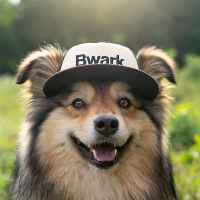 BWARKK coin