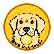 BNBRetriever