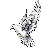 Dove coin