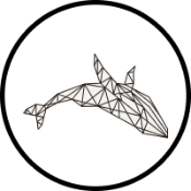 Cetacean