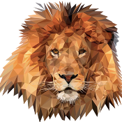 NftLion
