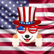 Shibamerican