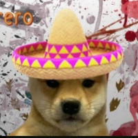#dogwifsombrero