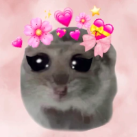 Girl Hammy