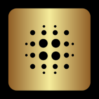 United States Debt Inverse Coin