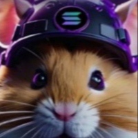 SOL HAMSTER