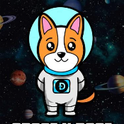 SpaceXDogeBSC