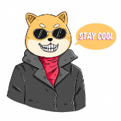 SHIBA CORP