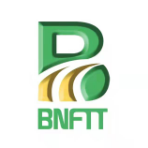 BNFTX TOKEN