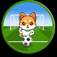 Shiba Soccer League
