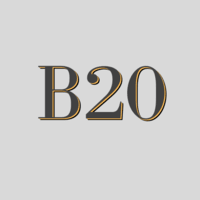 B 20
