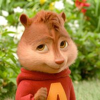 ALVINWIFOUT