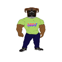 BOXER DOGE TOKEN