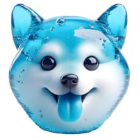 LIQUIDOG