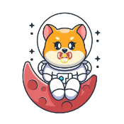 MoonBabyFloki
