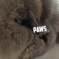 PURRS BY LUCY LTD
