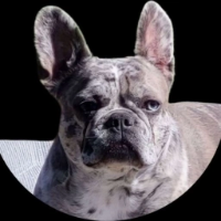 Ella