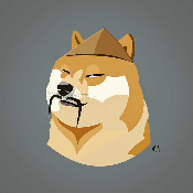 Doge 总督
