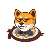 DYNAMICS TOKEN