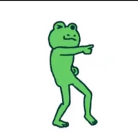 Froggie bsc