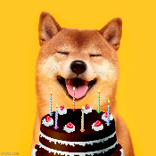 BirthdayDogeCake