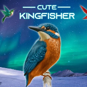 CuteKingfisher