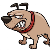 AngryDoge