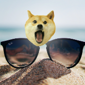 Summer Doge