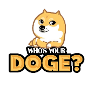 Whos Your Doge
