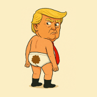 ProofOfTrump