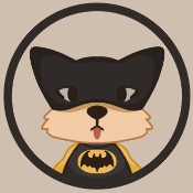 DogeKnightRise