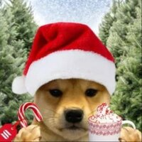 WIFMAS