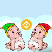 BABYTWINSBSC