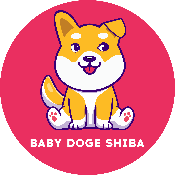 Baby Doge Shiba