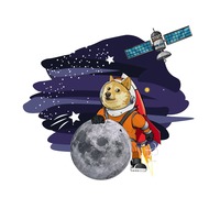 DOGE-1 Launch