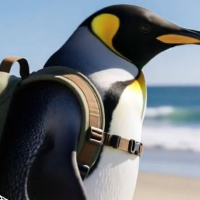 Penguwifbackpack