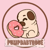 PumpBabyDogeRewardBNB