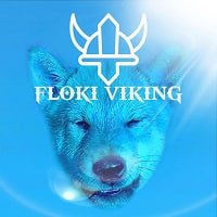 Floki Viking