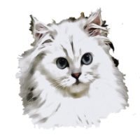 Persian