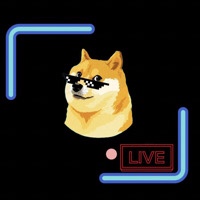 DogeCams
