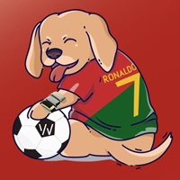 Marosca Coin