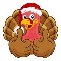 Christmas Turkey