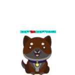 BabyDaBabyDoge