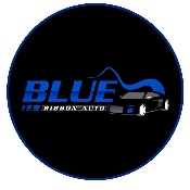 Blue Ribbon Token