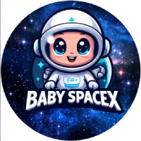 BabySpaceX