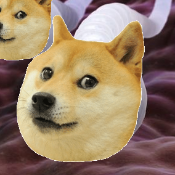 SpermDoge