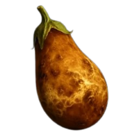 Penus