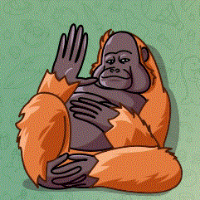 Monky